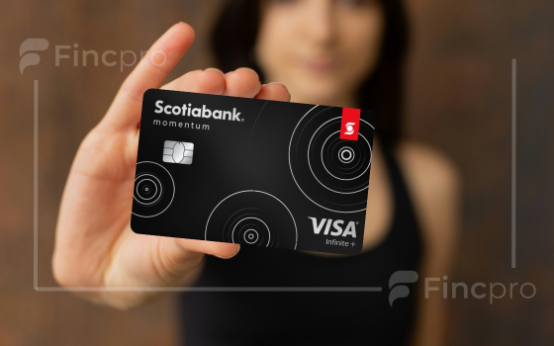 infinite-scotia-momentum-visa